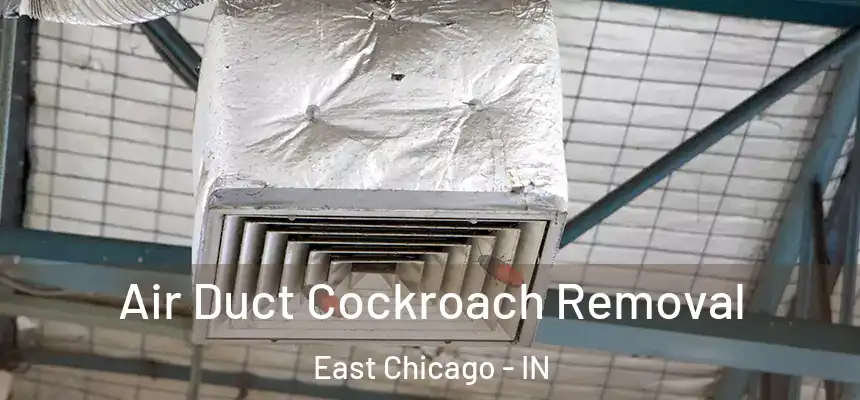  Air Duct Cockroach Removal East Chicago - IN