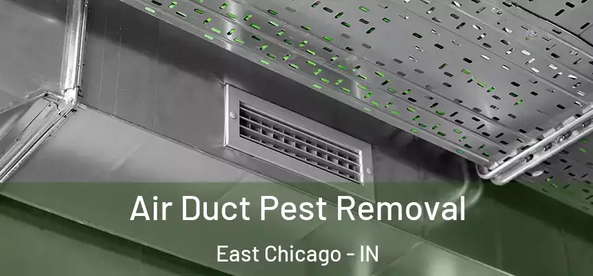  Air Duct Pest Removal East Chicago - IN