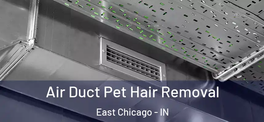  Air Duct Pet Hair Removal East Chicago - IN