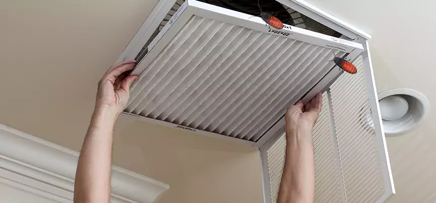 Preventive Cockroach-Proofing for Ducts in East Chicago