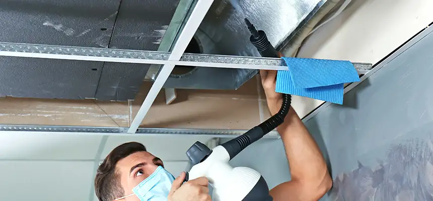Our Air Duct Rodent Removal Services in East Chicago, IN