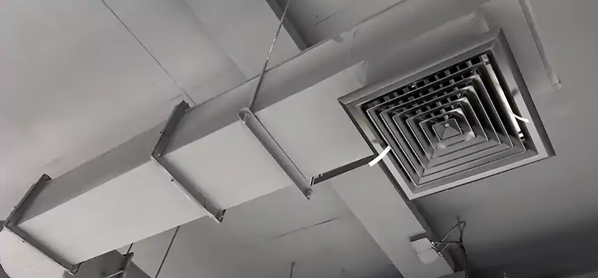 Our Pest Removal From Ducts Services in East Chicago, IN