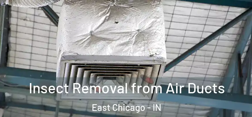  Insect Removal from Air Ducts East Chicago - IN