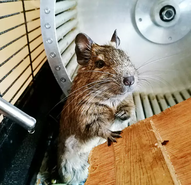 Why Homeowners & Businesses Trust Us East Chicago, IN?