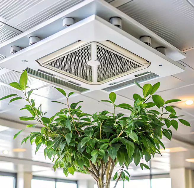 Why Homeowners & Businesses Trust Us in East Chicago, IN?